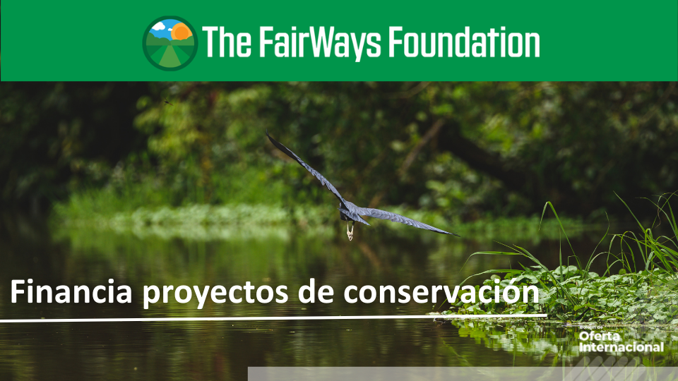 Proyectos ambientales en campos de golf sostenibles