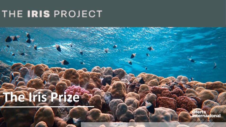 Jóvenes liderando proyectos ambientales comunitarios