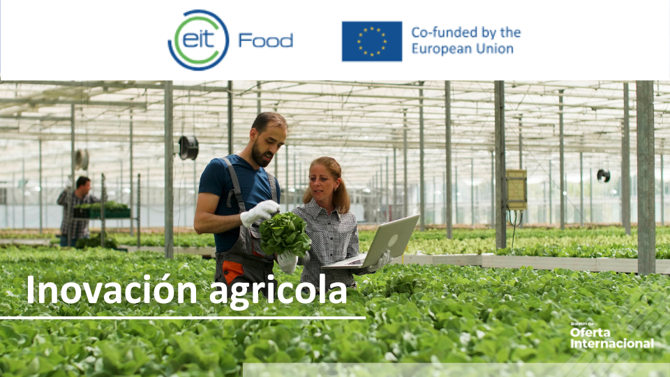 Expertos evaluando proyectos de innovación agrícola sostenible