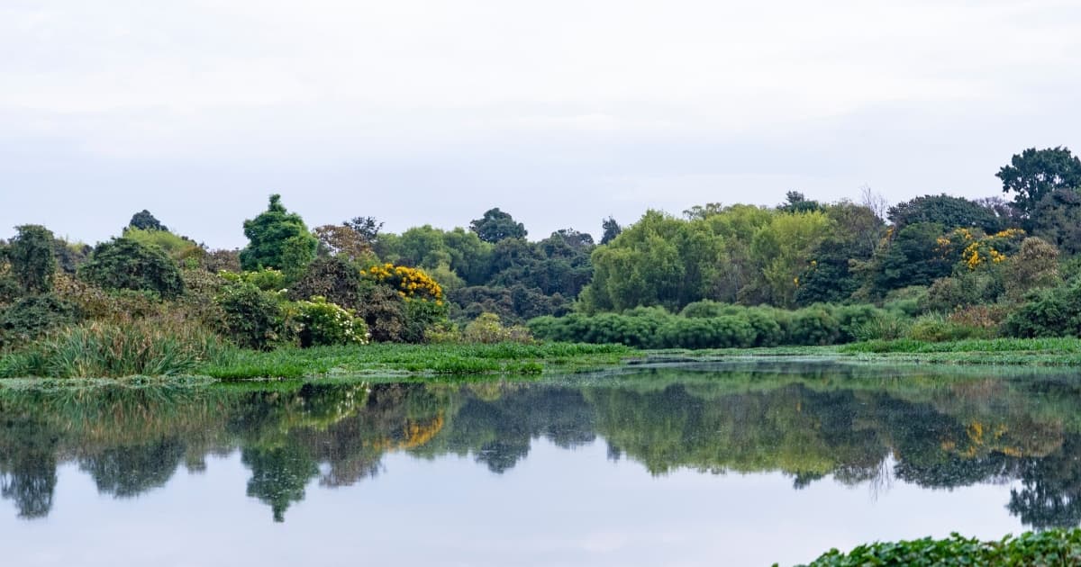 Foto del fumedal Córdoba de Bogotá.