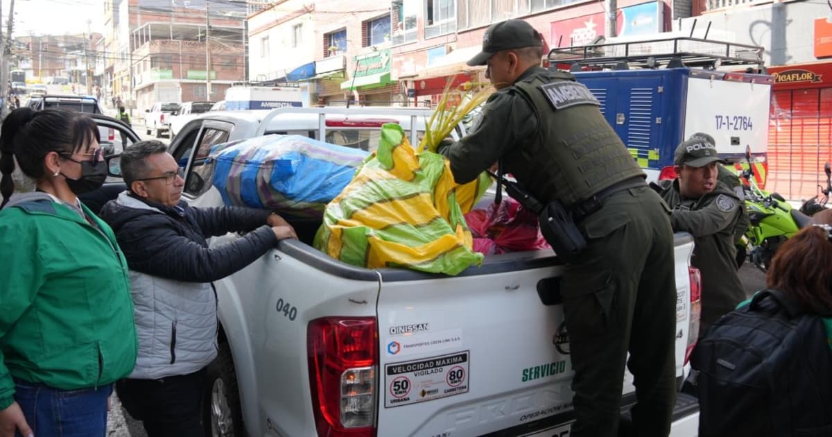 Policía Ambiental de Colombia realiza decomiso de palma de vino en Bogotá