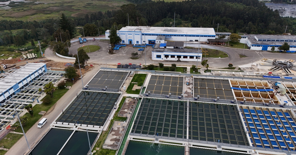 Foto que muestra la planta Tibitoc