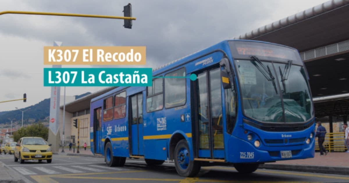 Foto de un bus TransMiZonal