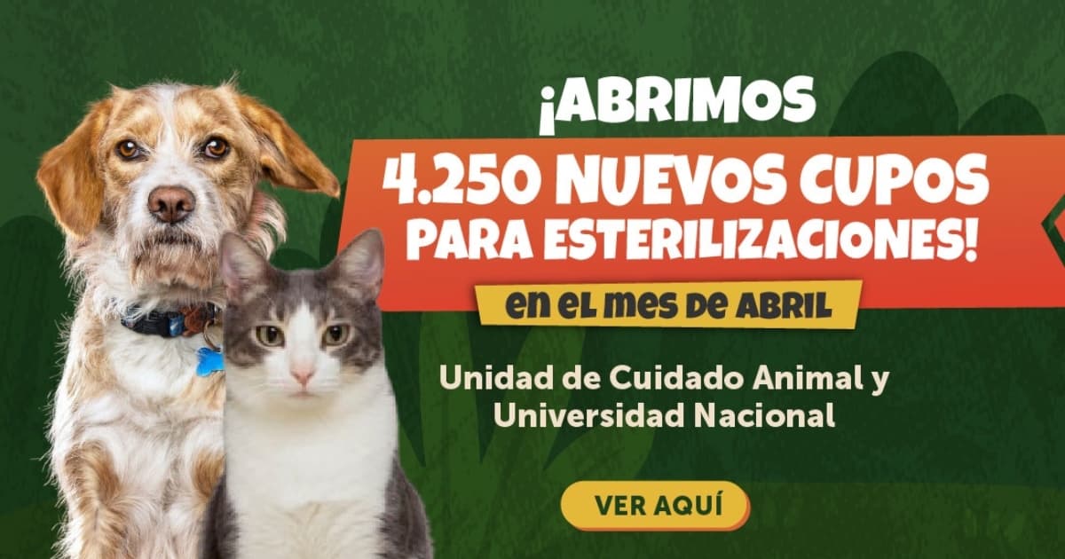 Campaña de esterilización de animales de compañía del IDPYBA
