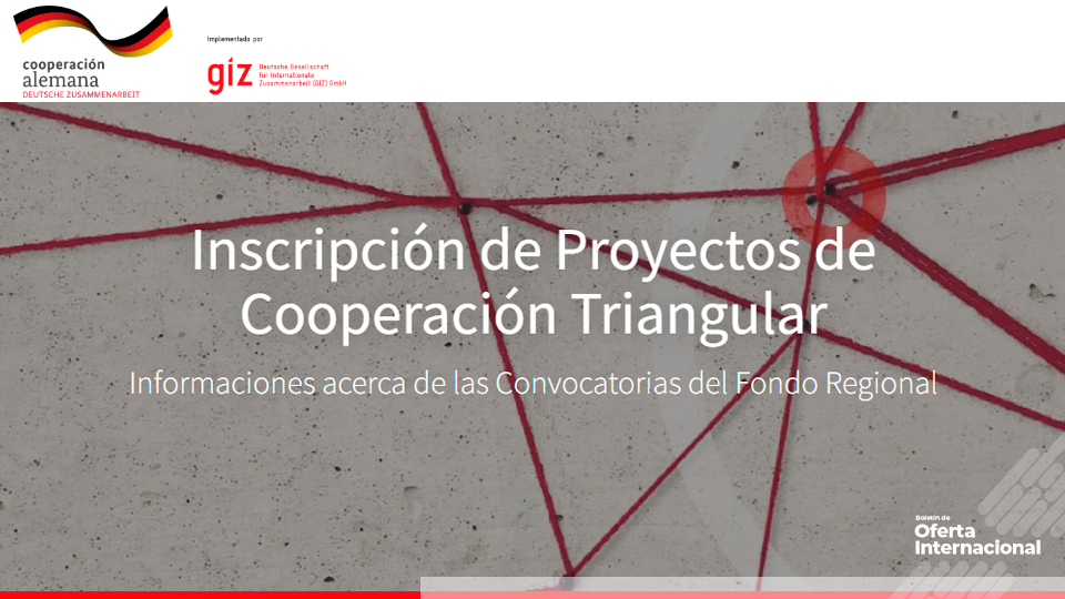 Alianzas internacionales para proyectos de cooperación