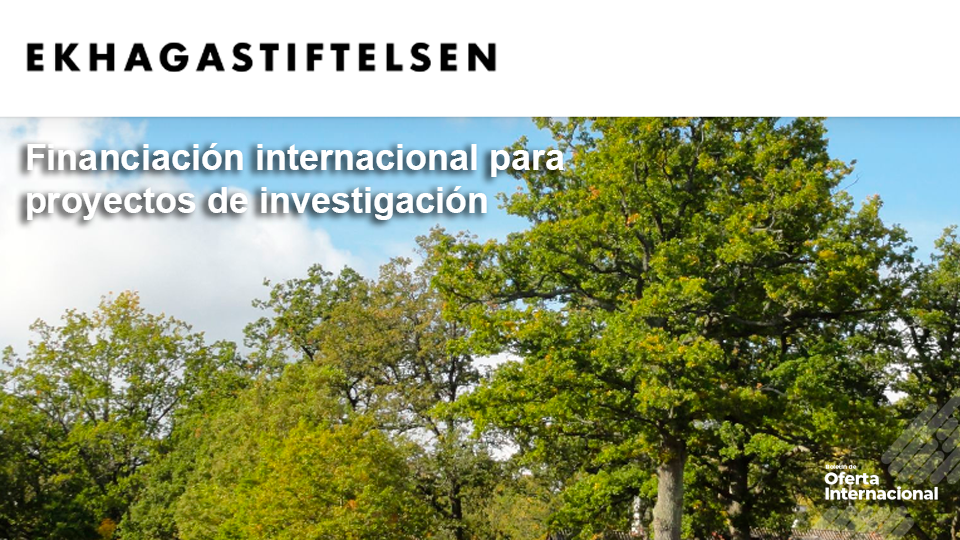 Investigadores desarrollando proyectos internacionales en salud pública