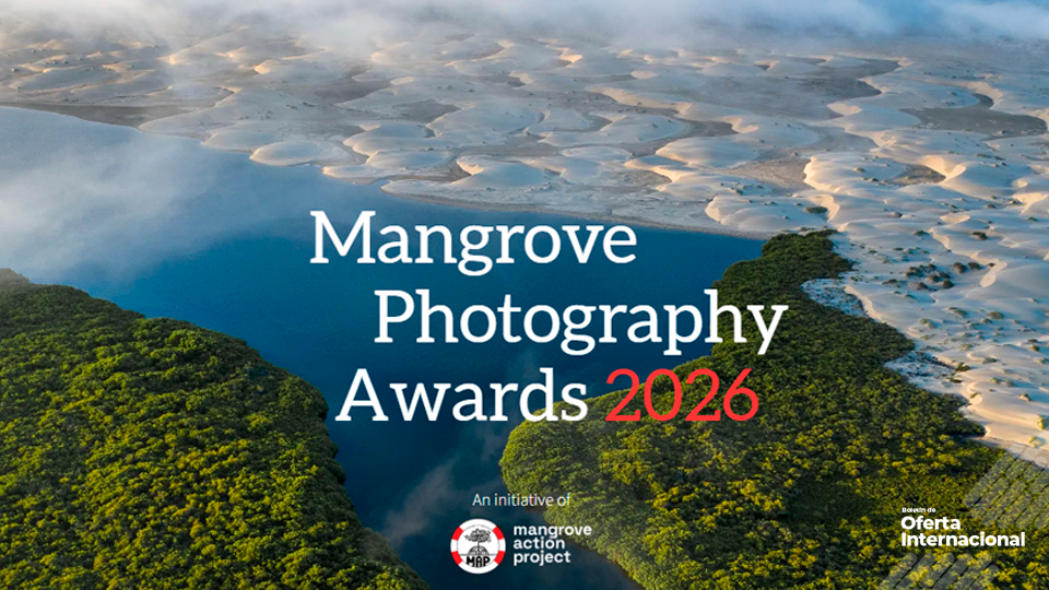 Fotografía internacional sobre conservación de manglares y biodiversidad