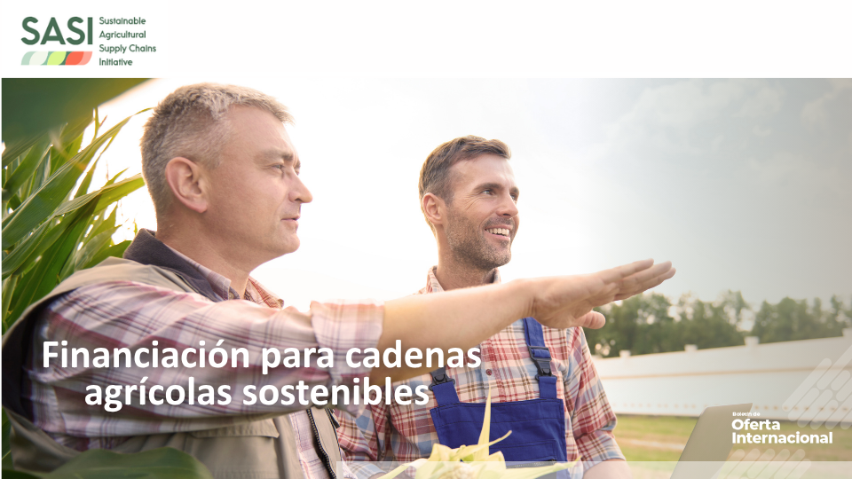 Proyectos sostenibles en cadenas agrícolas globales