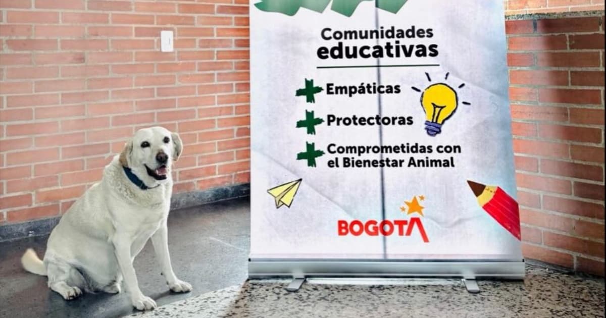 Foto de un perro participante en estrategia Animales al Tablero.