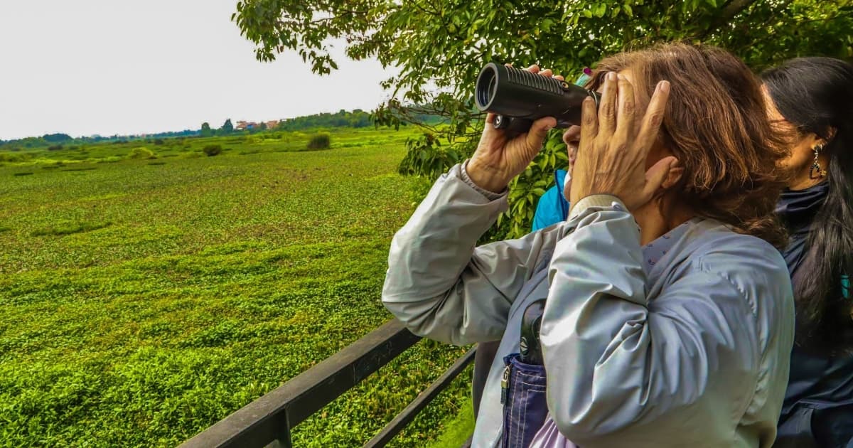 Mujer en jornada de avistamiento de aves
