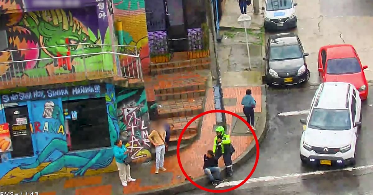 Imagen del sistema de videovigilancia en la que se identifica al ladrón.