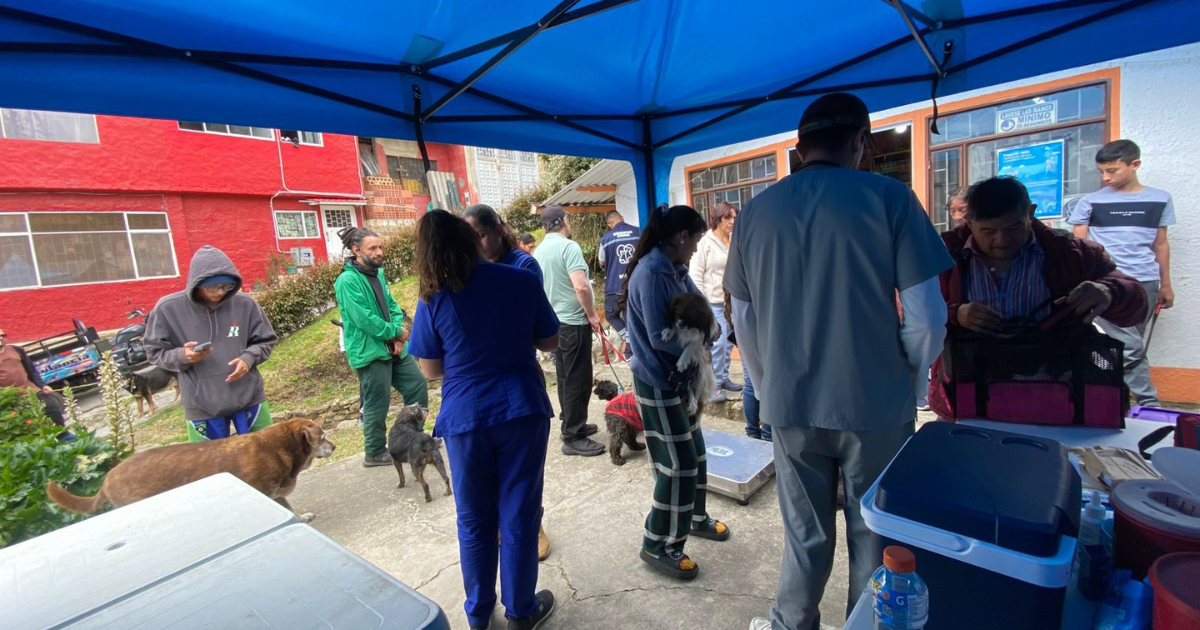 Foto de una brigada médico veterinarias