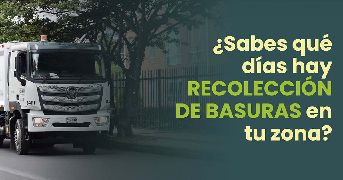 Imagen gráfica relacionada con el buscador de días de recolección de basuras