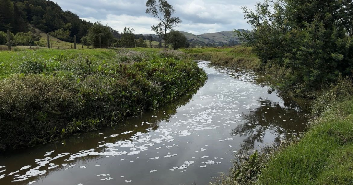 Imagen del Río Bogotá