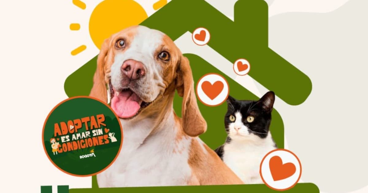 campaña Adoptar es amar sin condició