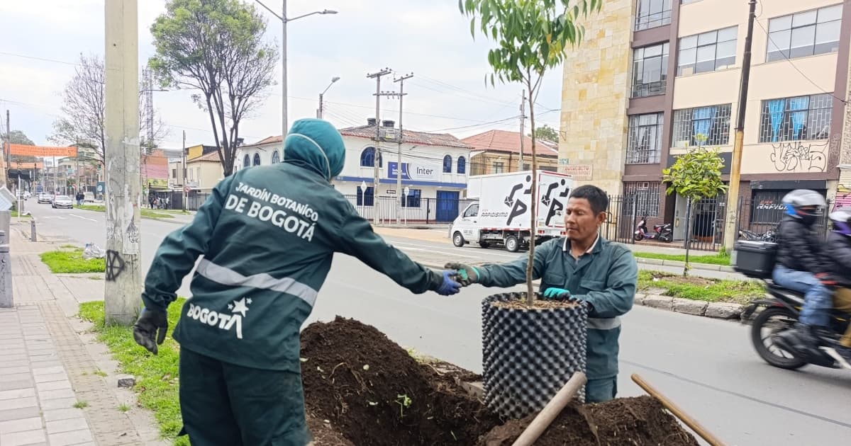 Funcionarios del Jardín Botánico de Bogotá realizan jornada de siembra