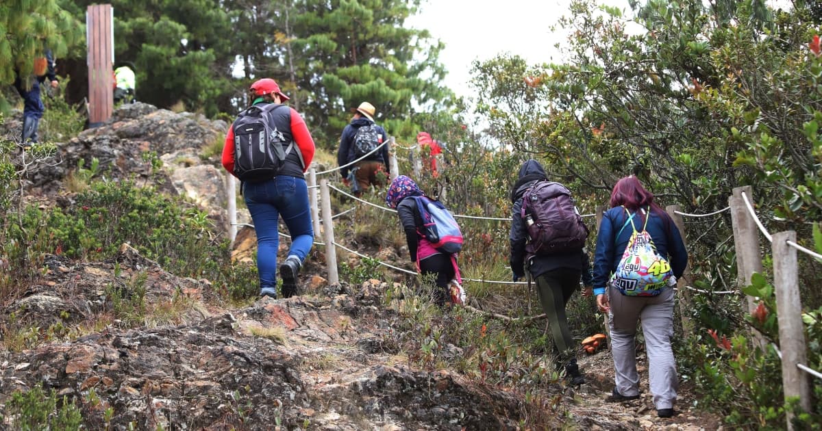 senderismo por humedal de Bogotá