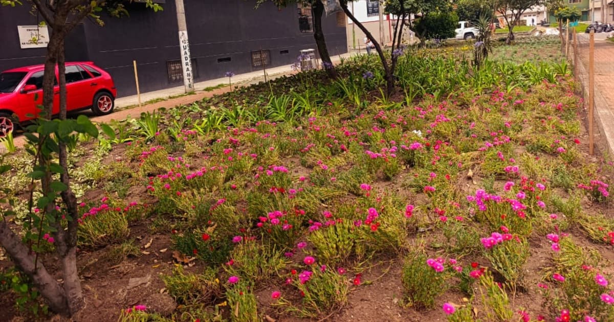 Jardinera de Playa Alcalá en Puente Aranda Bogotá