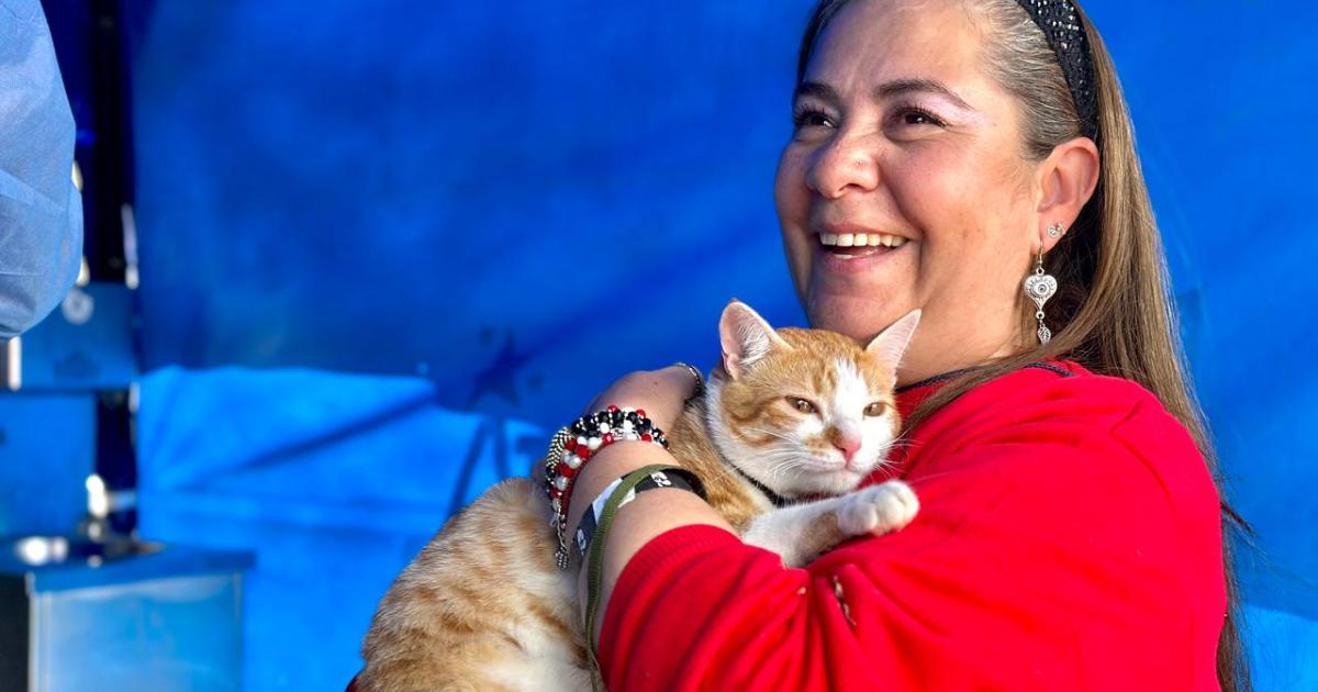 Foto de una mujer con un gato en una de las jornadas de vacunación de mascotas en Bogotá.