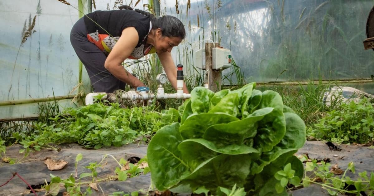 Foto de una campesina en zona rural de Bogotá.