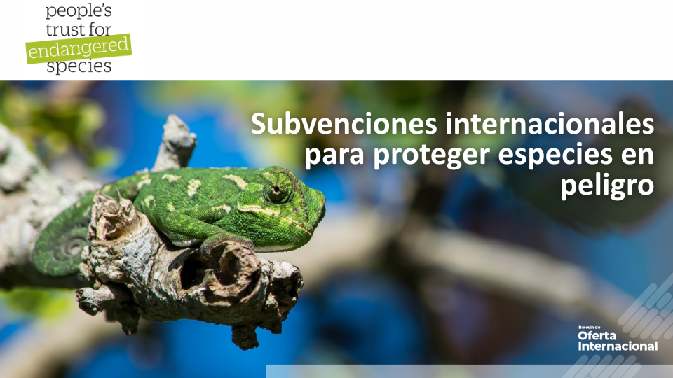 Proyecto internacional de conservación de especies amenazadas