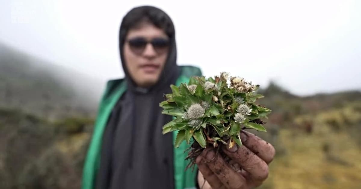 Actividad de reconocimiento de especies del Jardín Botánico