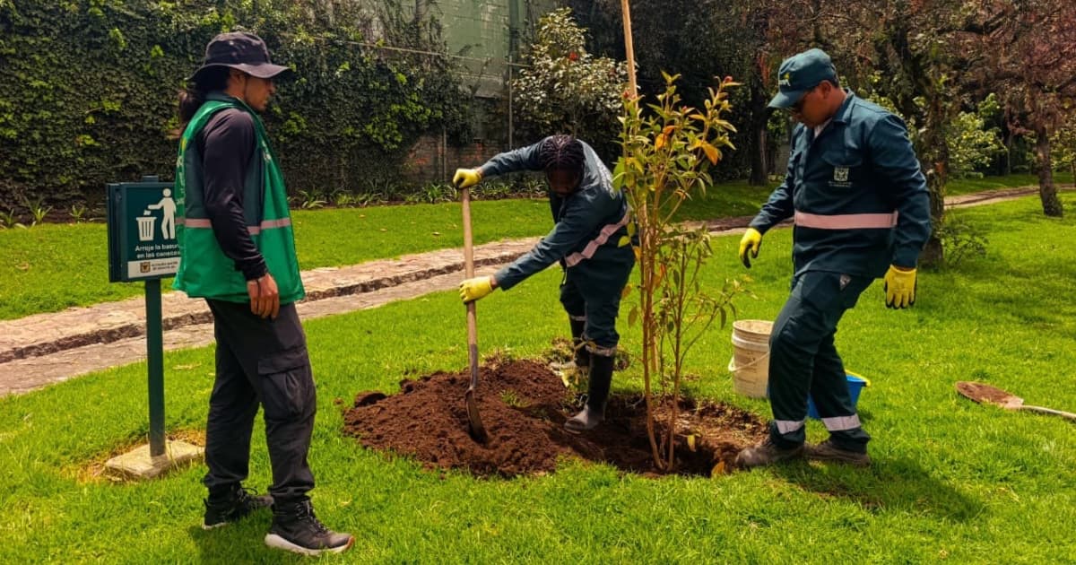 operarios del Jardín Botánico de Bogotá realizan actividad de siembra de arbolado jóven