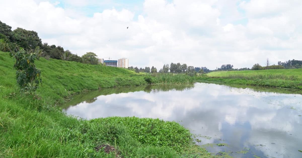 Imagen del río Bogotá 