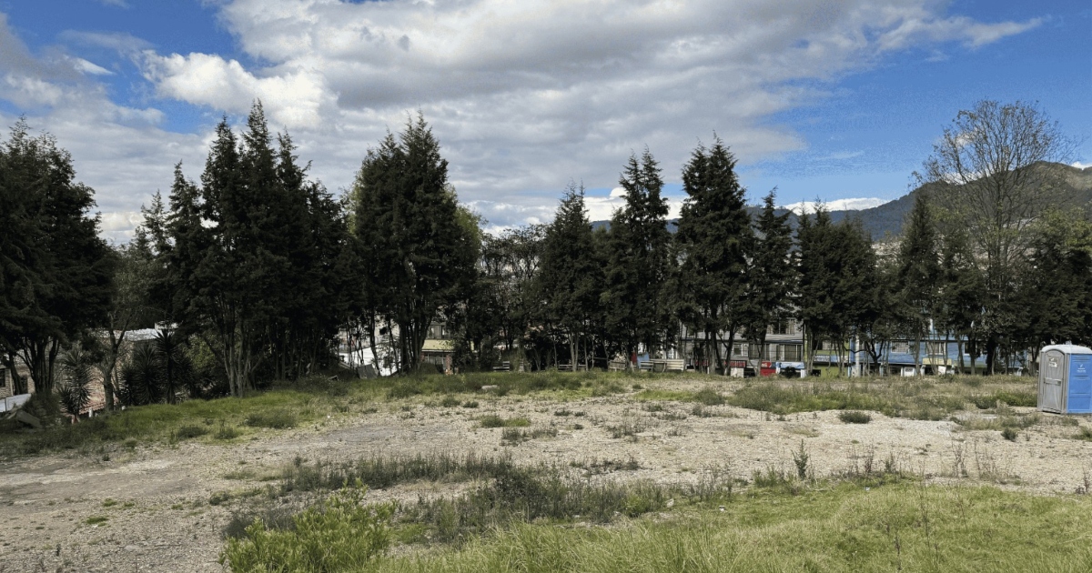 Foto panorámica de un lote con arboles