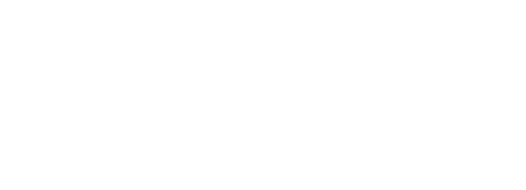2026 Elecciones