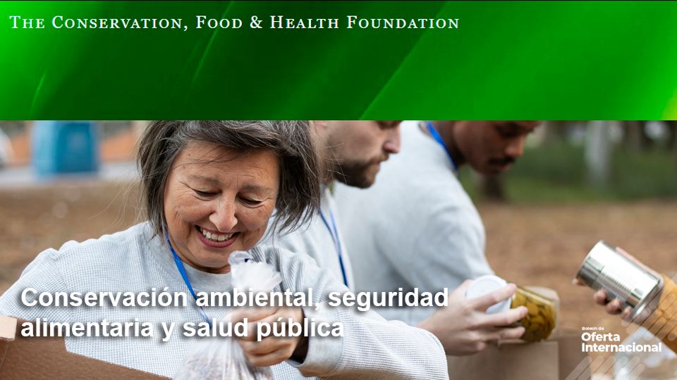 Organizaciones desarrollando proyectos ambientales y sociales