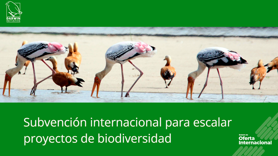 Subvención internacional para escalar proyectos de biodiversidad