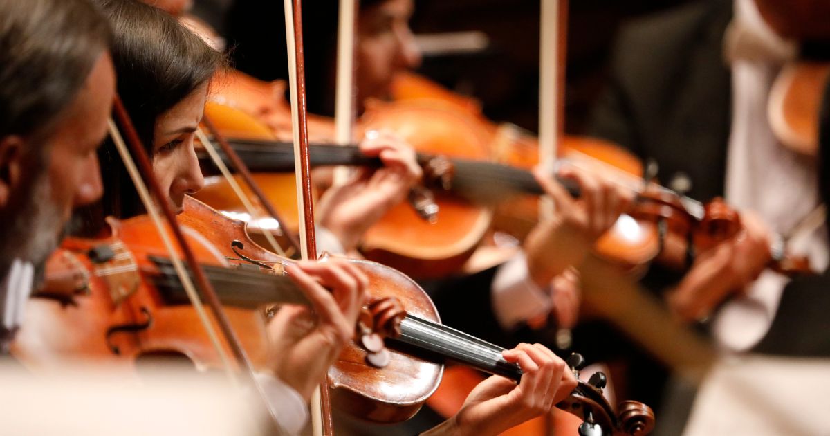 Imagen de Violines de la Filarmónica de Bogotá