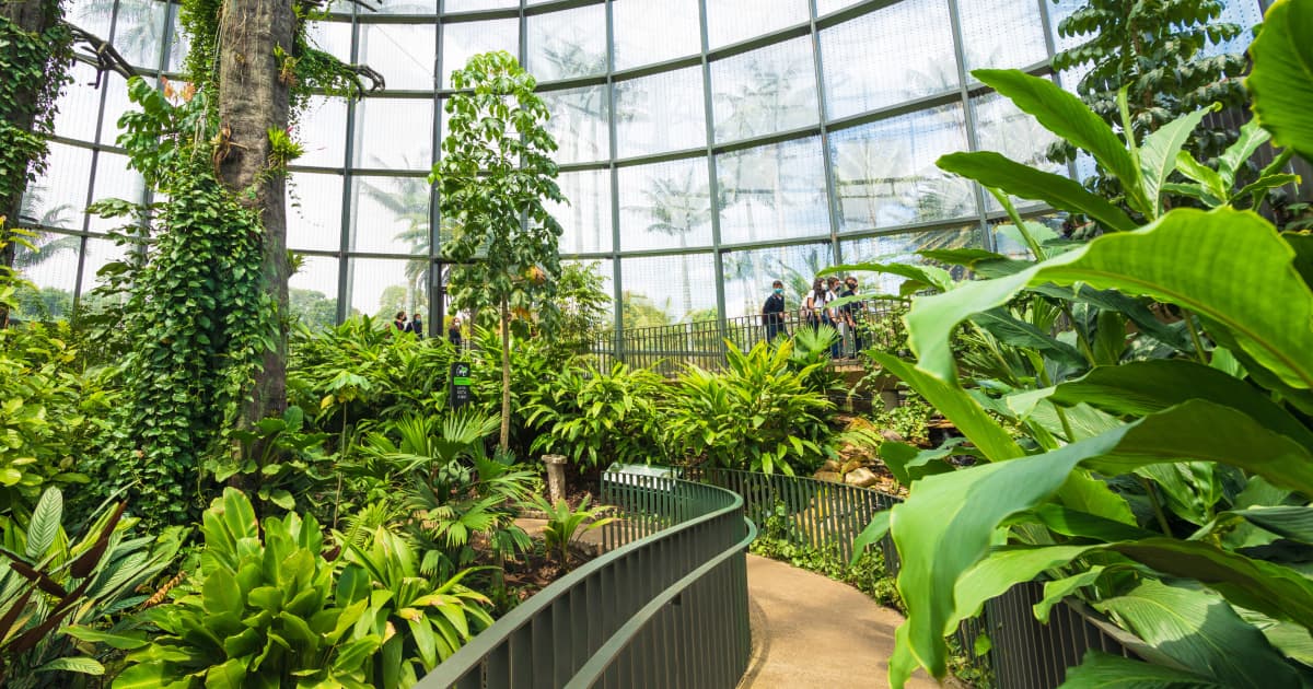 Tropicario del Jardín Botánico de Bogotá