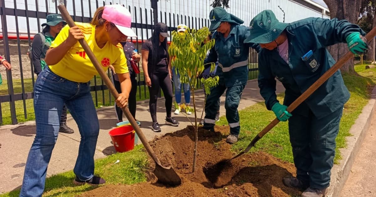Equipo del Jardín Botánico y comunidad realizan plantación de árbol en andén durante jornada de recuperación arbórea en Engativá