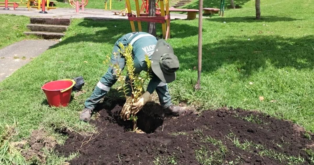 Operario del Jardín Botánico de Bogotá siembra árbol en parque durante jornada ambiental comunitaria