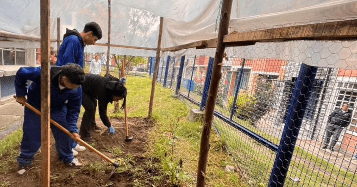 Estudiantes del Colegio Miravalle de Usme participan en actividades de agricultura urbana y restauración ecológica junto al Jardín Botánico de Bogotá.