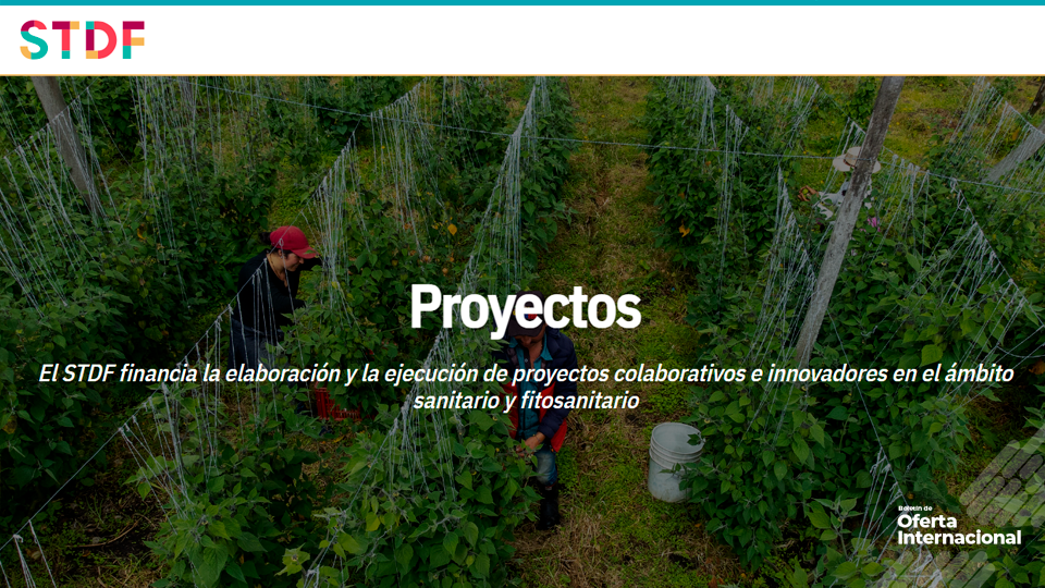 Accede a financiación internacional para proyectos sanitarios y fitosanitarios