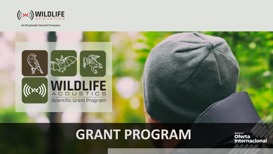Programa de Subvenciones Wildlife Acoustics 2026 para conservación