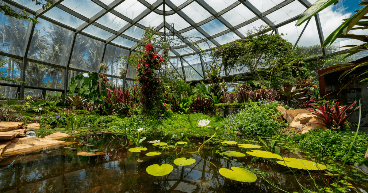 Interior del Tropicario del Jardín Botánico de Bogotá con estanque de plantas acuáticas, especies tropicales, jardines biodiversos y estructura de vidrio que conserva diferentes ecosistemas.