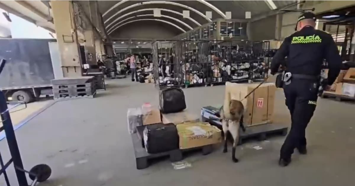 Un Policía con un perro revisando unas cajas 