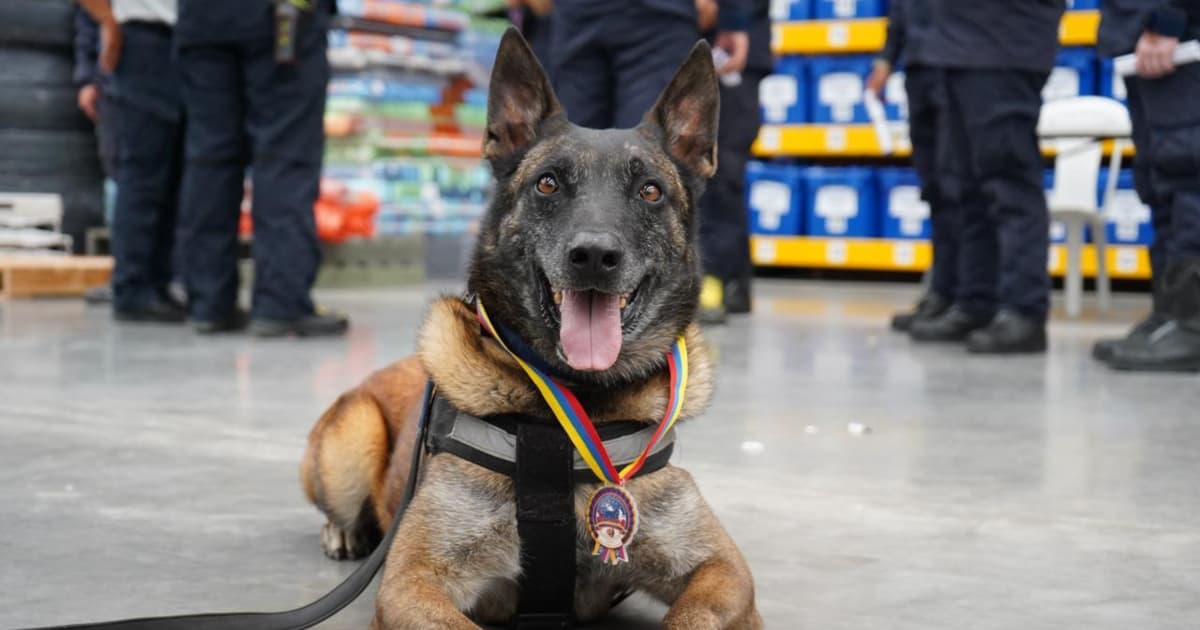 Foto de Dastan.