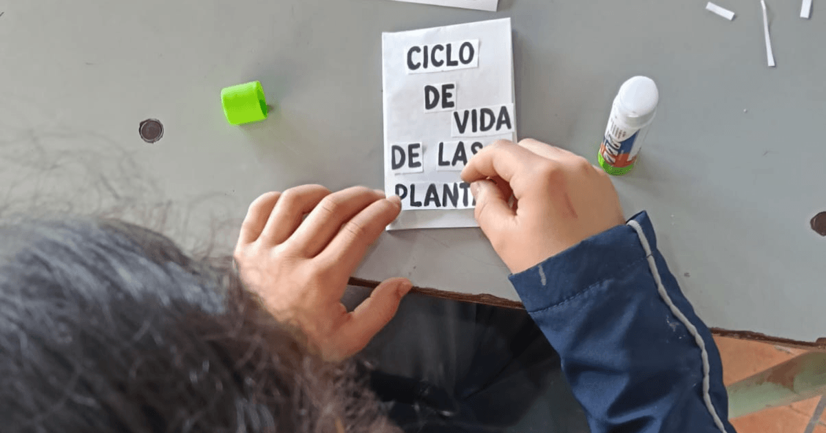 Estudiante elabora un fanzine ecológico con texto literal “CICLO DE VIDA DE LAS PLANTAS” durante actividad pedagógica de educación ambiental en Ciudad Bolívar.