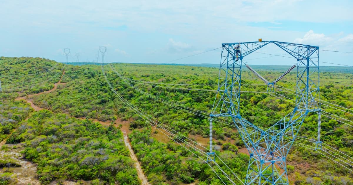 Foto que muestra una antena de energía y árboles