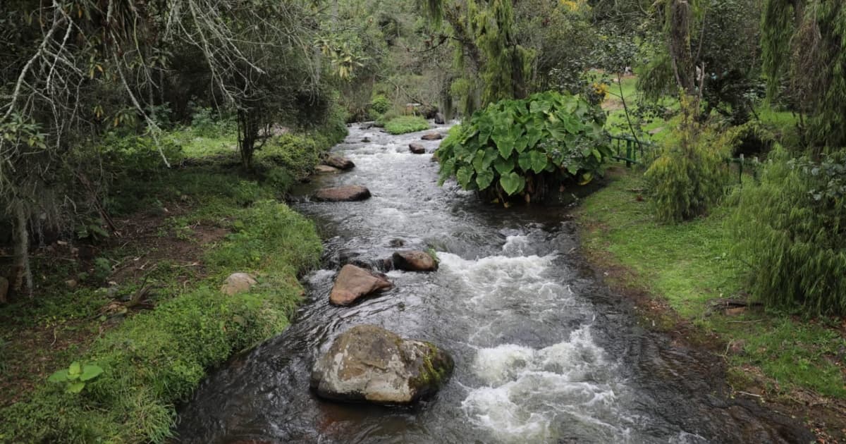 Foto de un río en las montañas de Cundinamarca.