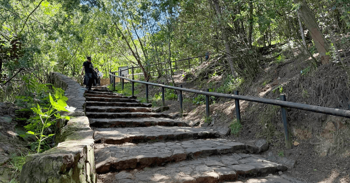 Escalinata de piedra del sendero de Monserrate rodeada de árboles y vegetación, con barandas metálicas y una persona caminando entre los Cerros Orientales de Bogotá.