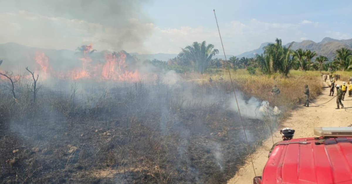 Incendio forestal en una zona de Cundinamarca