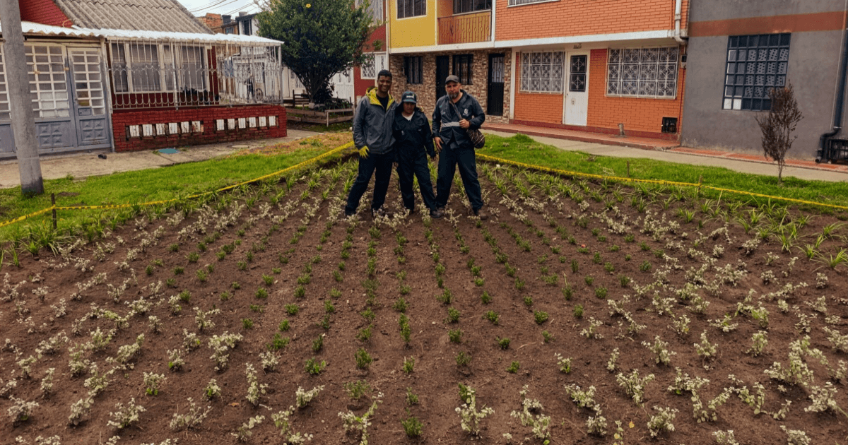 Operarios del Jardín Botánico de Bogotá exhiben la nueva jardinera del barrio Quirigua de la localidad de Engativá