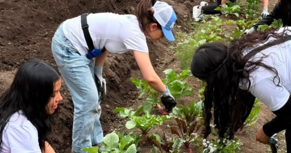 Jóvenes en una jornada de voluntariado ambiental en la UPI Perdomo,