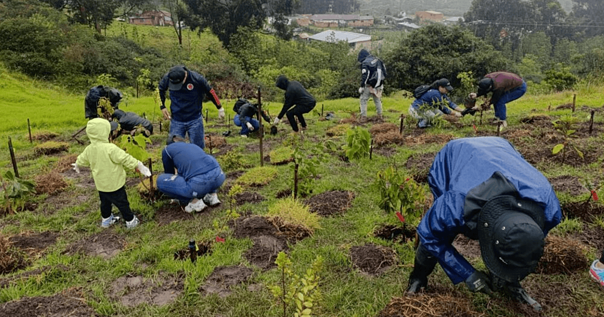 Personas participan en una jornada de restauración ecológica en el Parque Arqueológico y del Patrimonio Cultural de Usme.